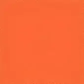 Orange rectangular background with distressed border, featuring granular texture and mottled surface, creating a rough, aged visual effect.