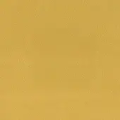 Granular mustard yellow texture fills the frame, exhibiting a subtle, uneven particle distribution and warm, muted golden hue under diffused lighting.