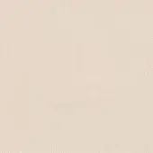 Off-white granular texture with a matte finish, resembling fine-grained leather, displays subtle tonal variations and a uniform, non-directional surface.