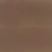Medium-brown leather sample with vertical grain, matte finish, and dense fibrous texture; studio lighting highlights natural material.