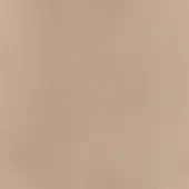Leather sample, tanned bull hide, vertical grain texture, neutral beige and brown tones, matte finish, studio lighting.