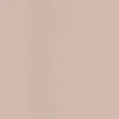 Light beige textured surface with a fine vertical grain, resembling embossed paper or fabric, presented as a uniformly colored close-up swatch.