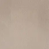 Beige leather texture sample with embossed grain pattern, smooth matte finish, and consistent color; identified as egoitaliano bacio 3509.