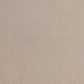 Beige leather texture with fine vertical grain, exhibiting a subtly mottled, brushed finish and matte appearance; egoitaliano carezza 209.
