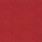Red leather texture with mottled grain, embossed with “egoitaliano > leather (c) > carezza > 233” text, matte finish, diffused studio lighting.