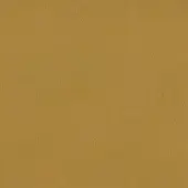 Golden-yellow leather texture with a mottled grain, polished sheen, and uniform surface; features “egoitaliano carezza 255” imprint.