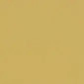 Muted gold textured surface with fine, irregular grain, resembling distressed paper or fabric, evenly lit with subtle tonal variations.