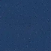 Blue synthetic leather texture with fine grain, displaying a distressed appearance; watermark reads "egoitaliano > carezza > 503".