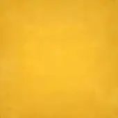 Yellow textured surface displaying tonal gradient, granular finish, and diffused lighting, ideal for background or material sample visualization.