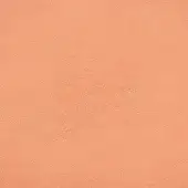 Dyed leather texture, coral tone, granular finish with subtle mottling; egoitaliano Nevada 9555 brand marking visible.