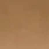 Earthy brown textured surface with granular detail and subtle tonal gradient, displaying a warm, neutral composition with diffused light.