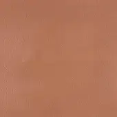 Tanned leather texture sample, reddish-brown with irregular grain, matte finish, consistent pores, identified as egoitaliano nuvole 5063.