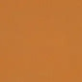 Leather texture, golden-brown color, vertical grain pattern, smooth surface with tonal variation, studio lighting, nuvole designation.