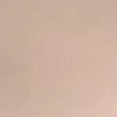 Beige leather texture with a matte finish, displaying a granular surface and subtle pores, consistent with a natural grain.