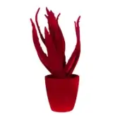 Aloe plant in red pot, elongated leaves curve upwards, textured surface, matte ceramic, centered on white background, even lighting.