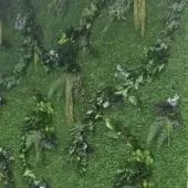 Lichen wall with layered green foliage, chartreuse leaves, golden grasses, fern fronds, and small gray-blue flowers in a naturalistic composition.