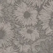 Flowers - Charlotte