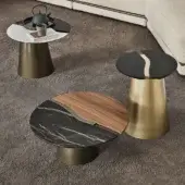 Distinguished Bontempi Yang coffee table with dark and light wood surfaces built upon a matte gold-toned metal base