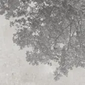 Art Design - Shades Nature