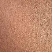 B02