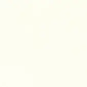 Enrico Pellizzoni FX - Faux Leather X01  WHITE