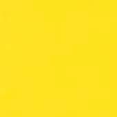 Enrico Pellizzoni FX - Faux Leather X08  CANARY