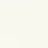 Enrico Pellizzoni CPF - Full Grain Leather 20  BIANCO