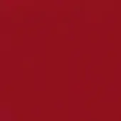 Enrico Pellizzoni CPF - Full Grain Leather 21  ROSSO