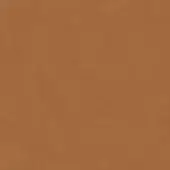Enrico Pellizzoni PPFV - Vintage Leather 07 NATURALE