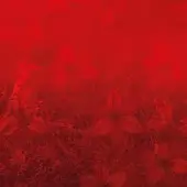Art Design - Passion