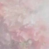 Flowers - Hydrangea