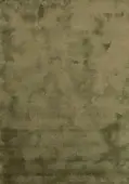 Avacado