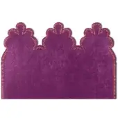 Viola