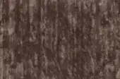 Soil Brown