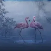 Art Design - Flamingo 4