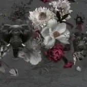Flowers - Francis Red Flower