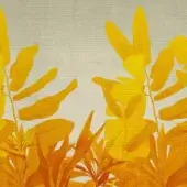 Art Design - Tropicana Herm 6