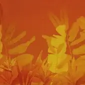Art Design - Tropicana Herm 4