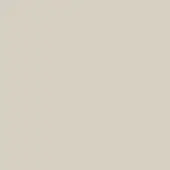 Ivory Ral 1013