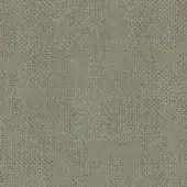 A155