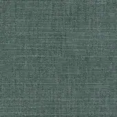 B096
