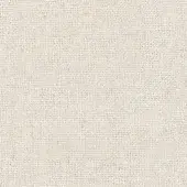 B161