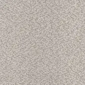 D081