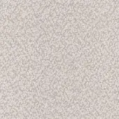 D084