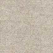 F119