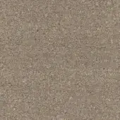 F169