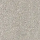 F173