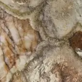 Patagonia Vitrum