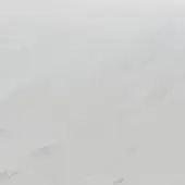 Bianco Sivec