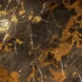 Black & Gold Liquid Gold